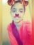Iram Sh...