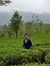 fayaz