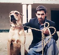 Malik Touseef
