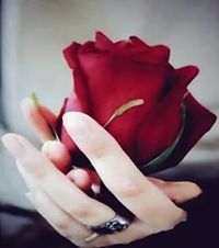 مدهامتان مدهامتان