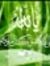 Om Al M...