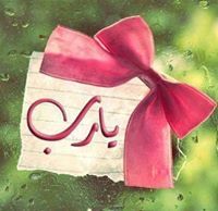 Rose Lilly