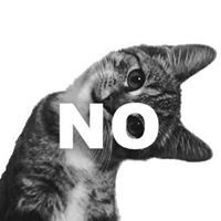 Улбала Рахимбаева