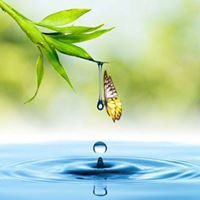 Gopikrishna Bodapati