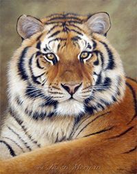 Rakesh Pothula