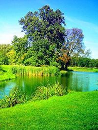 المسلميه ودنوه