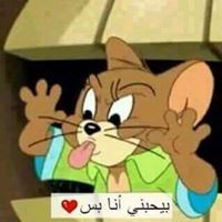 أصيلة السني