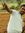 Shankar...