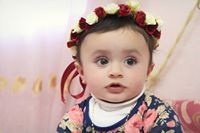 نداء عودة