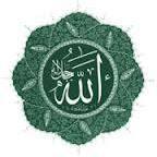 محب الشيخين