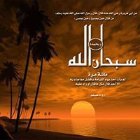 Niveen Ahmed
