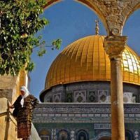 انصار الشرباتي