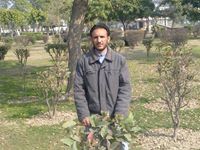 Muhammad Imtiaz