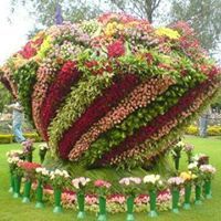 الاء المنسي