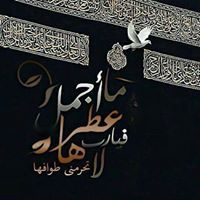 حمامة الحرم