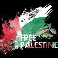 أسامة الحشيشة