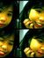 Ratna Dewi