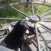 Stine Lerche-Vestergaard