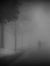 Foggy Man