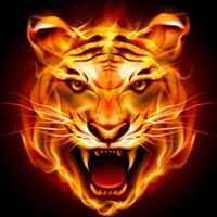 النمر المقاتل