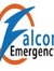 Falcon