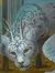 Shonda Stanneart