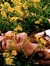 Rahaf