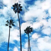 دودي المسفري