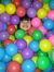 Thien L...