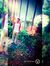 Aakash ...
