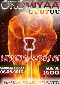 Qerroo Jimma