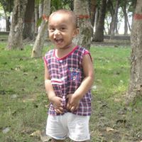 পলাশ রশীদ