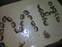 محمد آل موسى