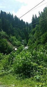 ابو زرعة