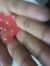 Shekar Gs