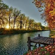 محمد المندعي