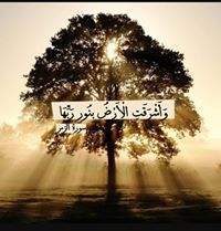 محمد الحسين