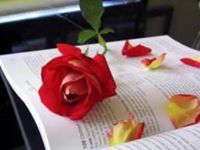 لورين الحازمي