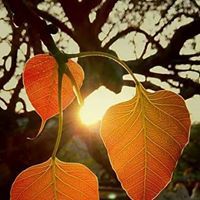 Chathurika Ranasinghe