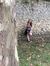 Aimee G...