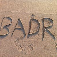 Badr FL