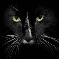 ファムバン ズイー