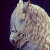 البارونة السمراء