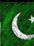 Hasnain...