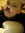 LucasL | 11 comments