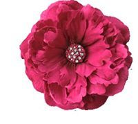 الوردية الصغيرة