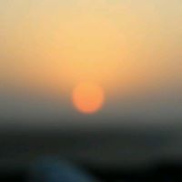 محمد العمار