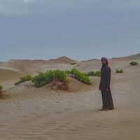 الباراسي العولقي