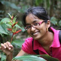 Soeraya Mangalsing