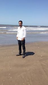 محمود قيسون